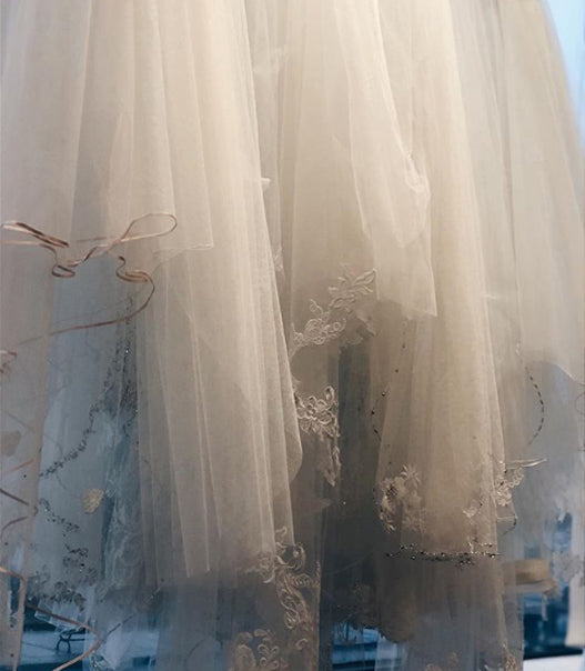 VEILS